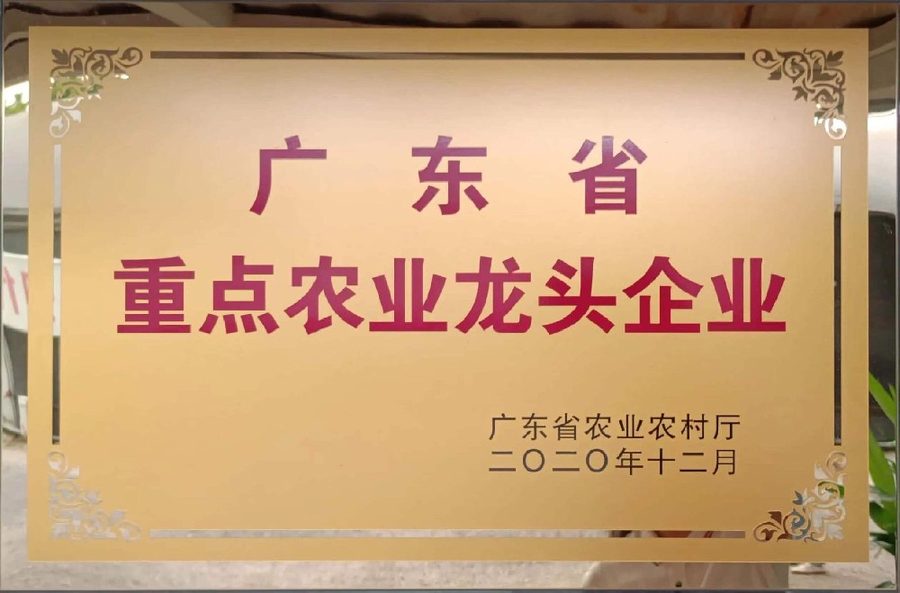 Key Leading Agricultural Enterprise of Guangdong